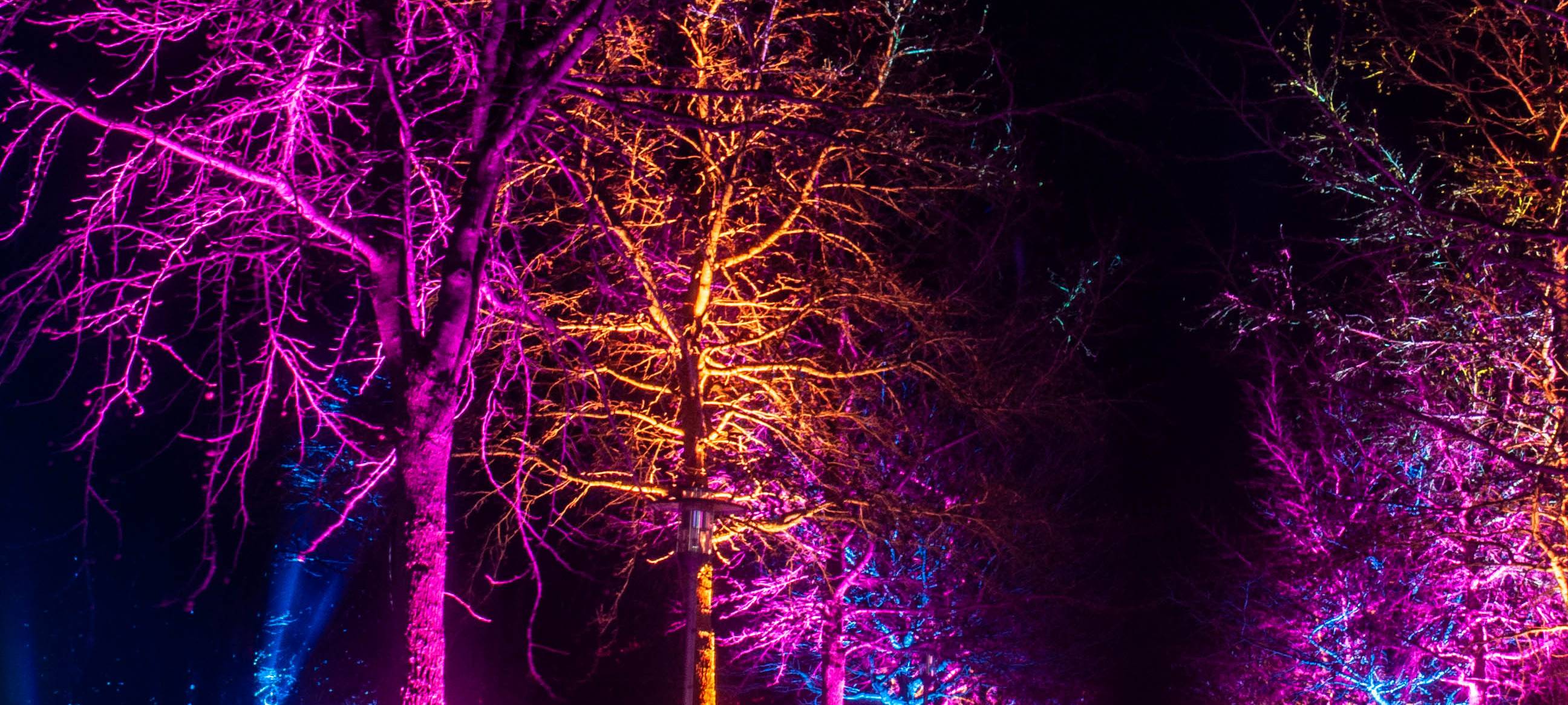 Nachteinblicke in Gronau und Epe