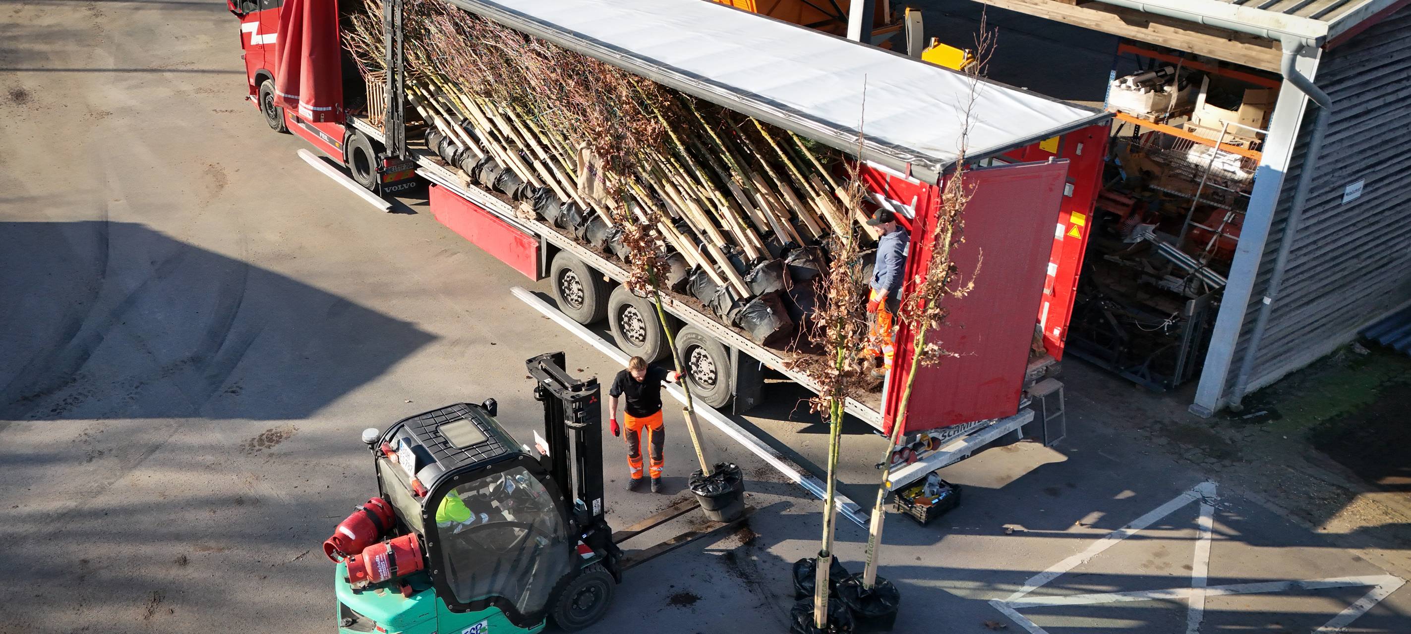 300 neue Bäume für Bocholt